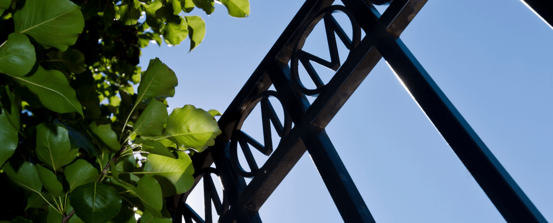 Blue sky with black gate with M's across the top and leaves in the left corner